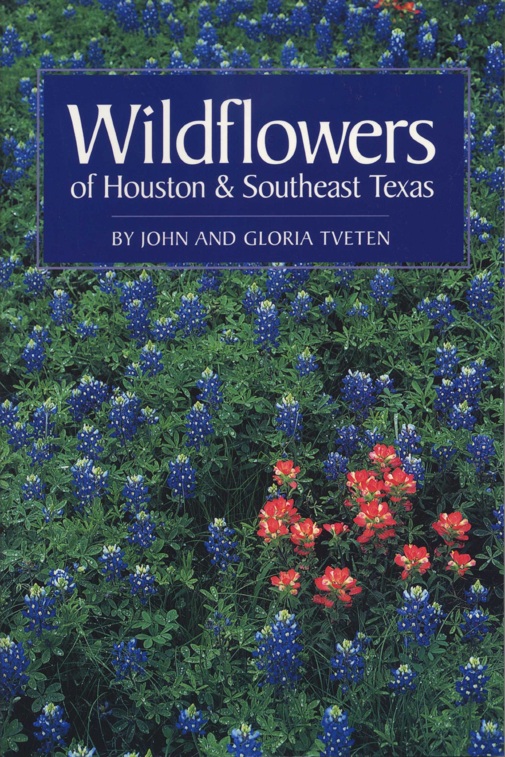 Wildflowers Of Houston And Southeast Texas Tveten John L Tveten Gloria Amazon Com Books