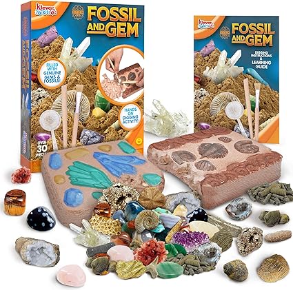 archaeology dig kit