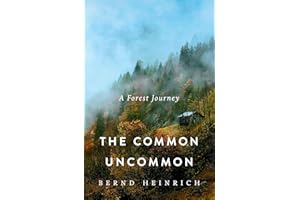 The Common Uncommon: A Forest Journey