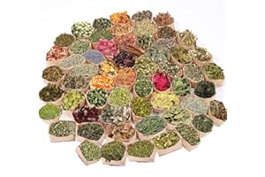 BABICLEAN 60Pcs Set Dried Herbs and Flowers Witchcraft Supplies Herbs kit, Witchy Herbs Gift for Witch Beginner, Wiccan,Wicca Altar Supplies Decor, Pagan, Magic Ritual, Healing, Incense Spell