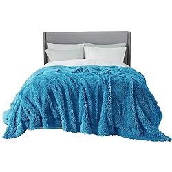 Bedsure Soft Bright Blue Blankets Queen Size for