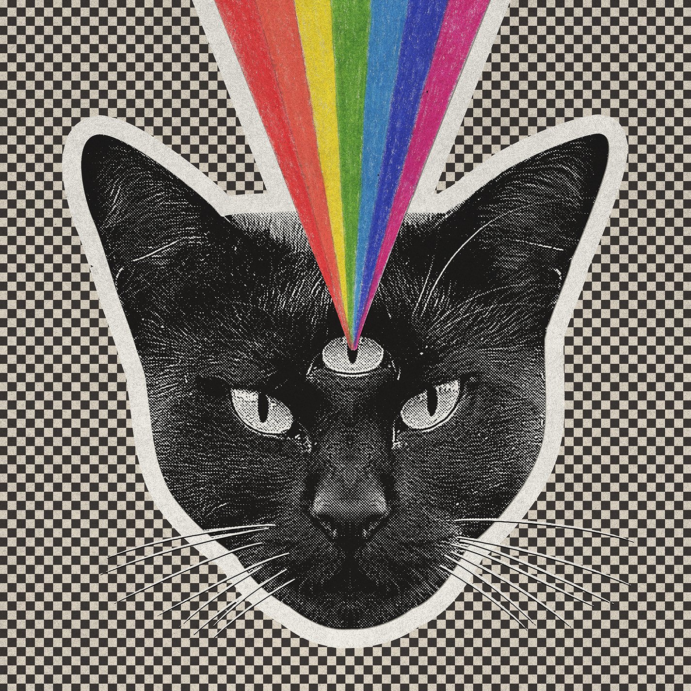 Never Shout Never Black Cat Music
