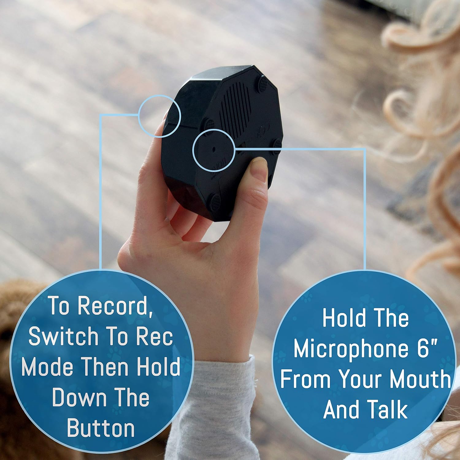 Chip's Pet Stuff Recordable Training Buttons for Dogs - Record Any Sound to Enable Communication with Your Puppy - Set of 4 Can Also Be Used As Game Buzzers, Doggie Doorbells, Speech Aids, & More : Pet Supplies