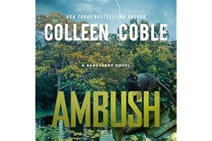 Ambush: A Small-Town Romantic Suspense
