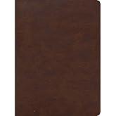 CSB Apologetics Study Bible for Students, Brown LeatherTouch, Black Letter, Defend Your Faith, Study Notes and Commentary, Articles, Profiles, Full-Color Maps, Easy-to-Read Bible Serif Type