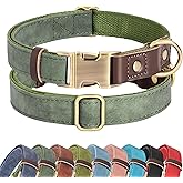 Didog PU Leather Dog Collar for Small Dogs Puppy, Soft Lining, Green S | All-day Comfort for Daily Walks and Backyard Play, Quick Release Metal Buckle for Easy On &amp; Off, D-Ring for Leash, Easy Clean