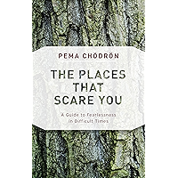 The Places That Scare You: A Guide to Fearlessness in Difficult Times (Shambhala Classics)