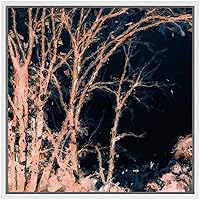SIGNWIN Framed Canvas Wall Art Winter Trees Branch at Night with Black Sky Landscape Trees Oil Painting Impressionism Traditional Scenic Expressive for Living Room, Bedroom, Office - 16x16 inches