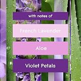 Glade Automatic Refills Eucalyptus & Lavender 4 x 269ml Pack view 2