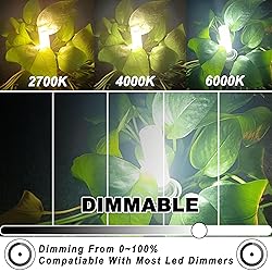 E11 Led Bulbs 120V 100W Halogen Candelabra Bulbs