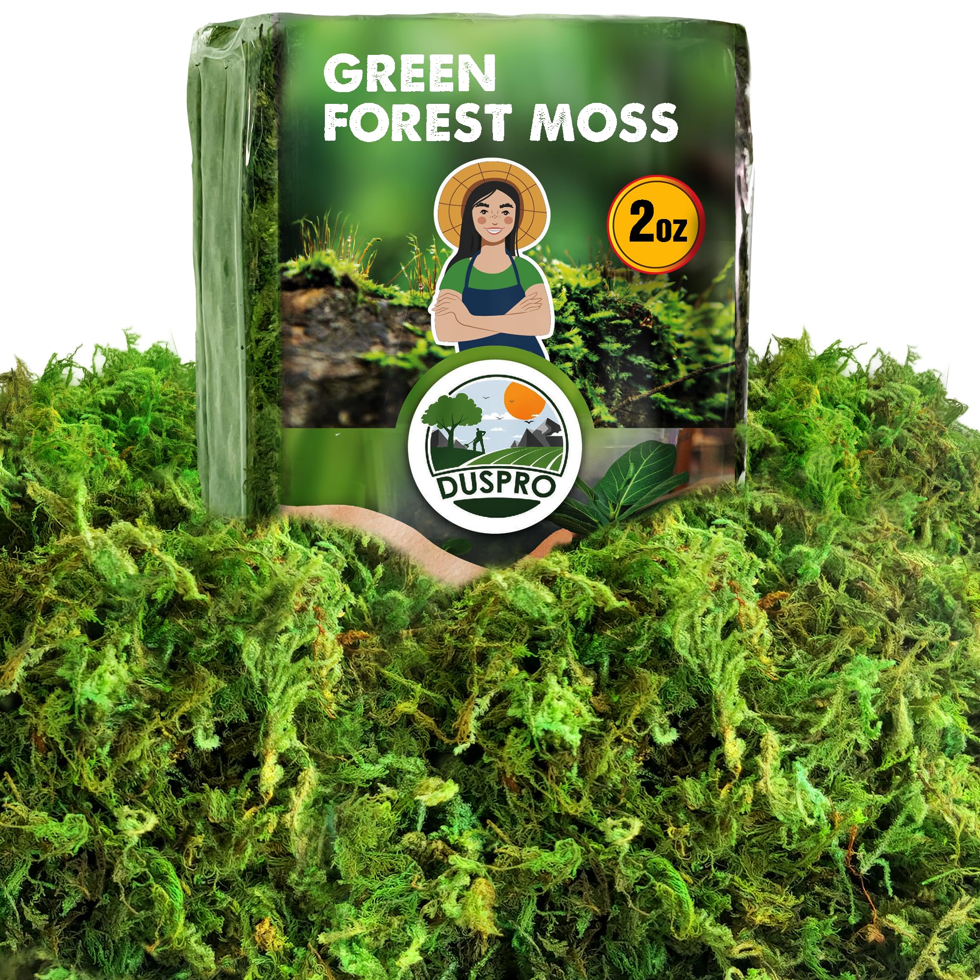 Photo 1 of [Upgraded] DUSPRO Green Moss for Crafts, Real Forest Moss Potted Plants, Decorative Mosses for Table Centerpieces Wedding Christmas Fairy Party Decor, Indoor Planters, DIY Project (2 Oz)