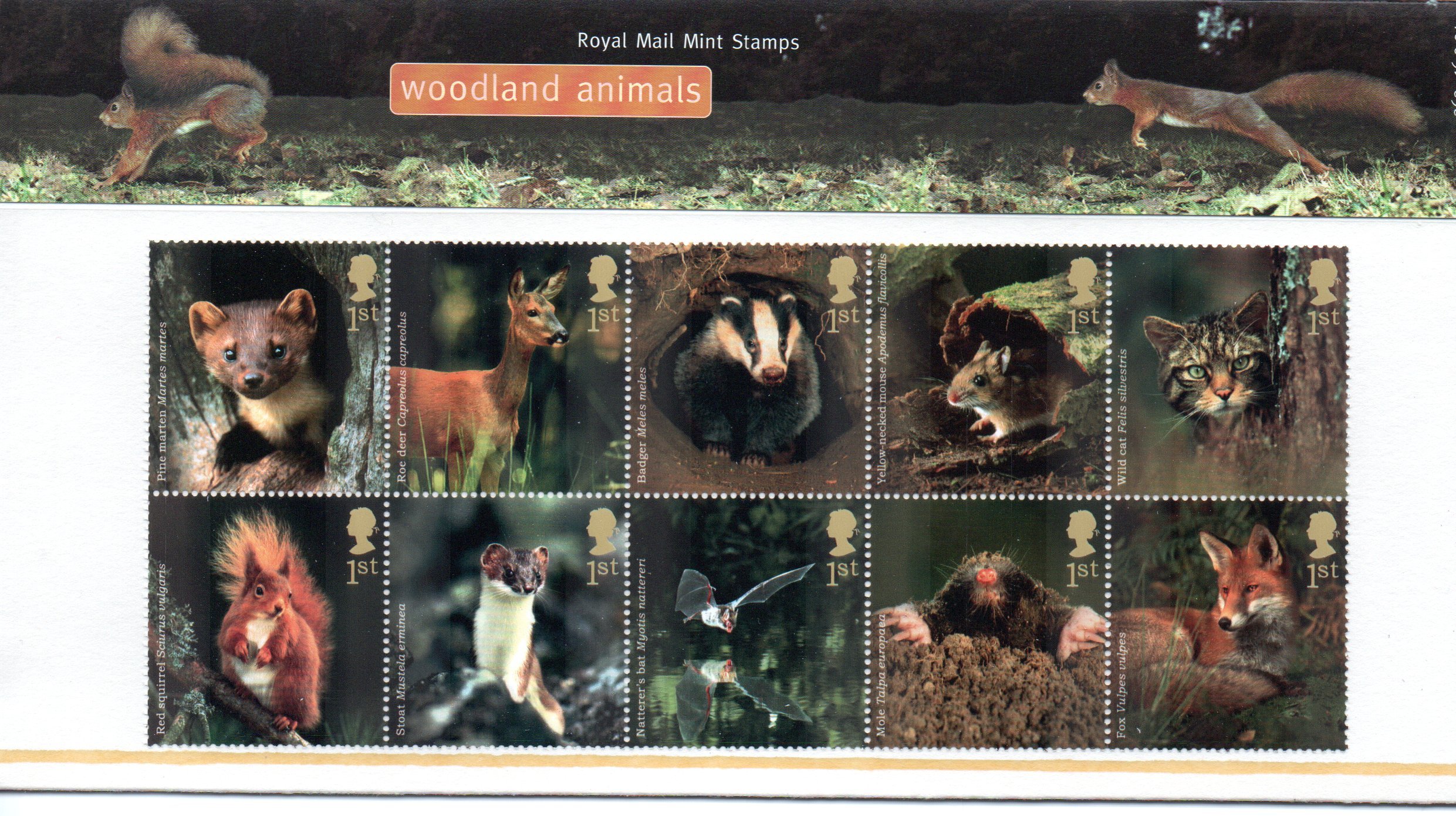 2004 Woodland Animals Stamps in Presentation pack