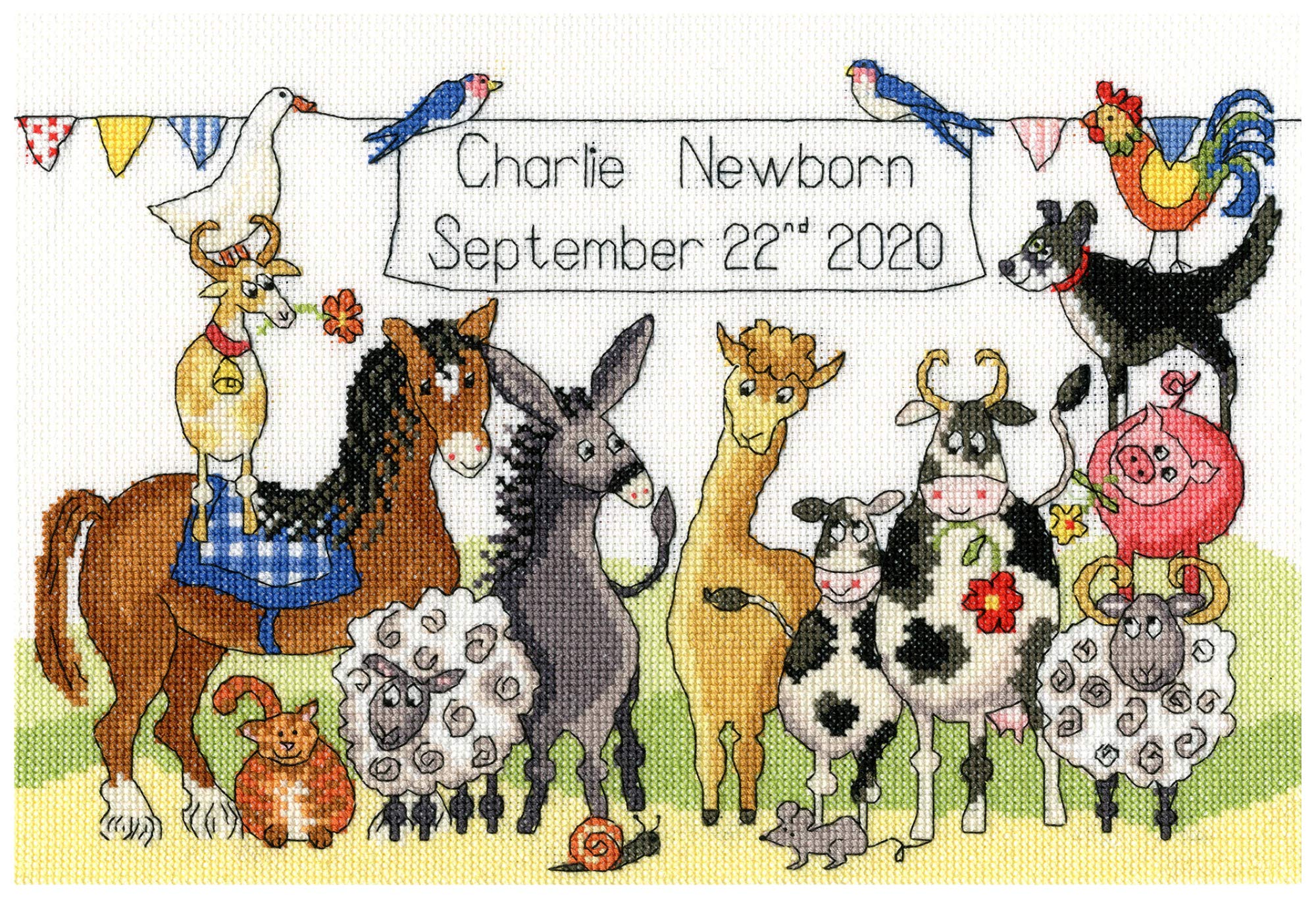 Bothy Threads Cross Stitch Kit - Something to Crow About