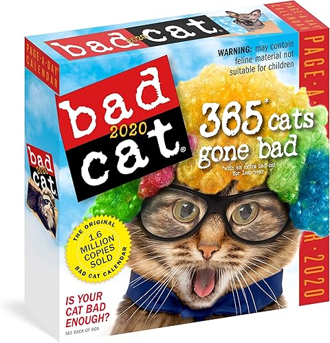 Download Bad Cat 2020 Calendar PDF