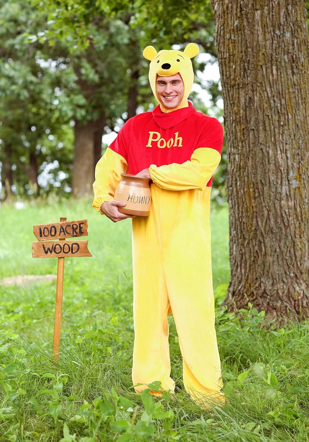 winnie the pooh male costume