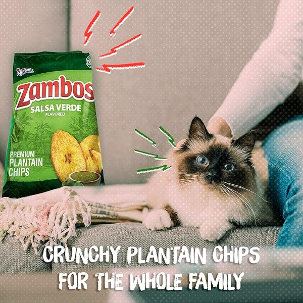ZAMBOS PLANTAIN CHIPS SALSA VERDE (PACK OF 1)