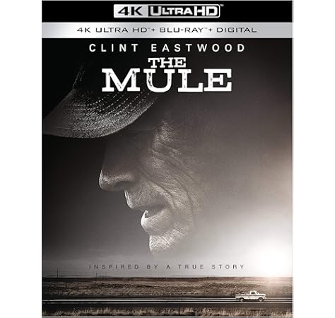 Get Enttaeuscht enttaeuschung familien sprueche zum nachdenken For iPhone Free