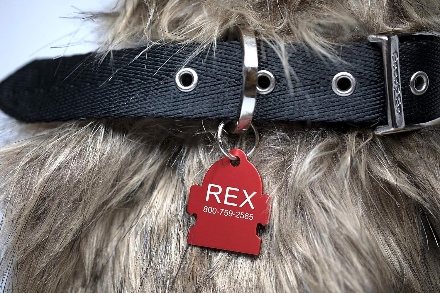 Providence Engraving Pet ID Tags in 8 Shapes, 8 Colors, and Two Sizes - Personalized Dog Tags and Cat Tags with 4 Lines of Customizable Text Available in 8 Shapes and Colors : Pet Supplies