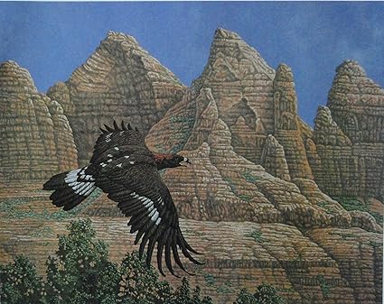 Amazoncom Golden Eagle By Artist Chris Forrest Print
