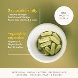 Fushi Organic Ginkgo Biloba Capsules 60 Vegan UK Made Fresh-Ground Whole Food view 3