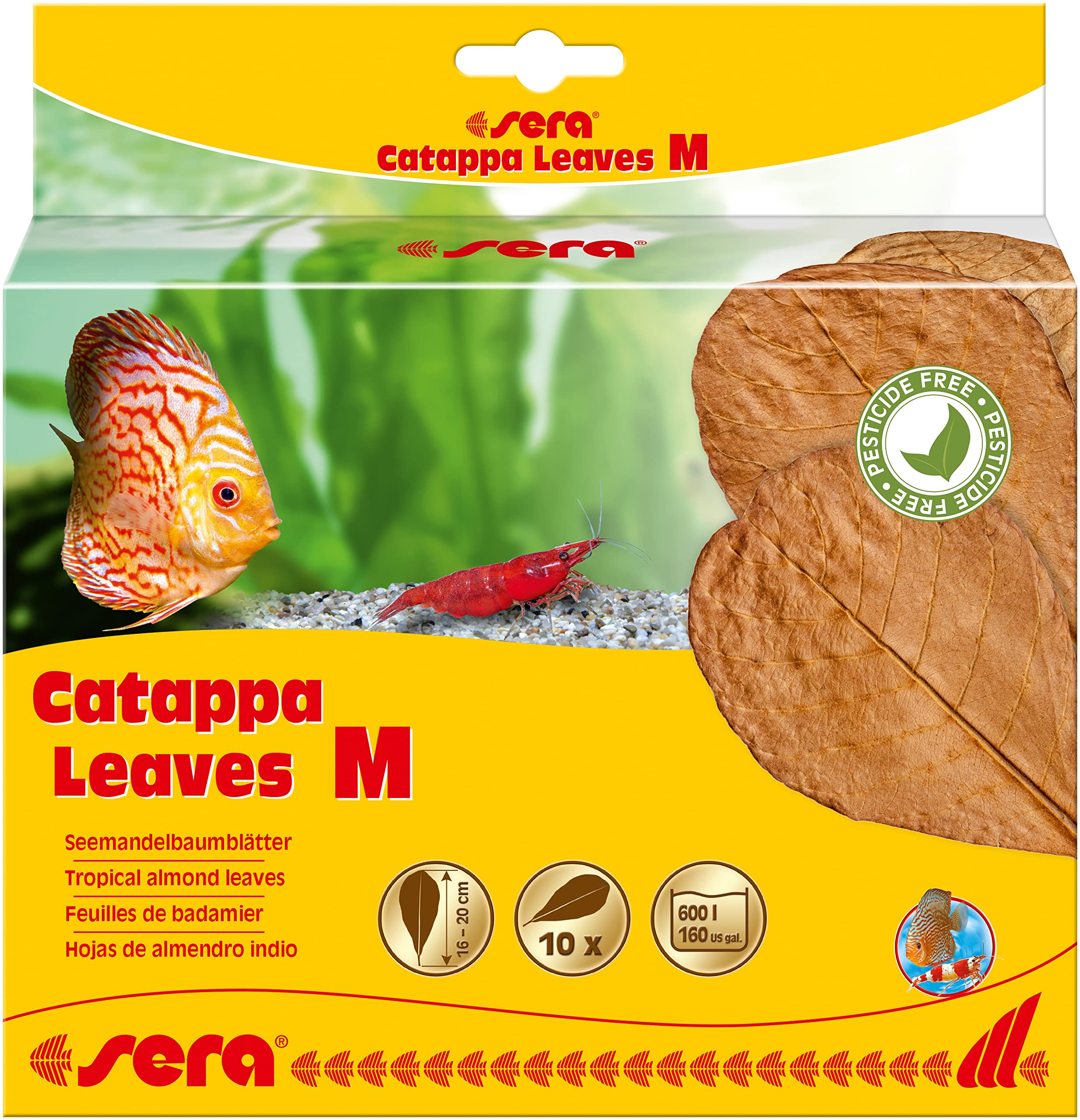 sera Catappa Leaves, Medium, 18 cm