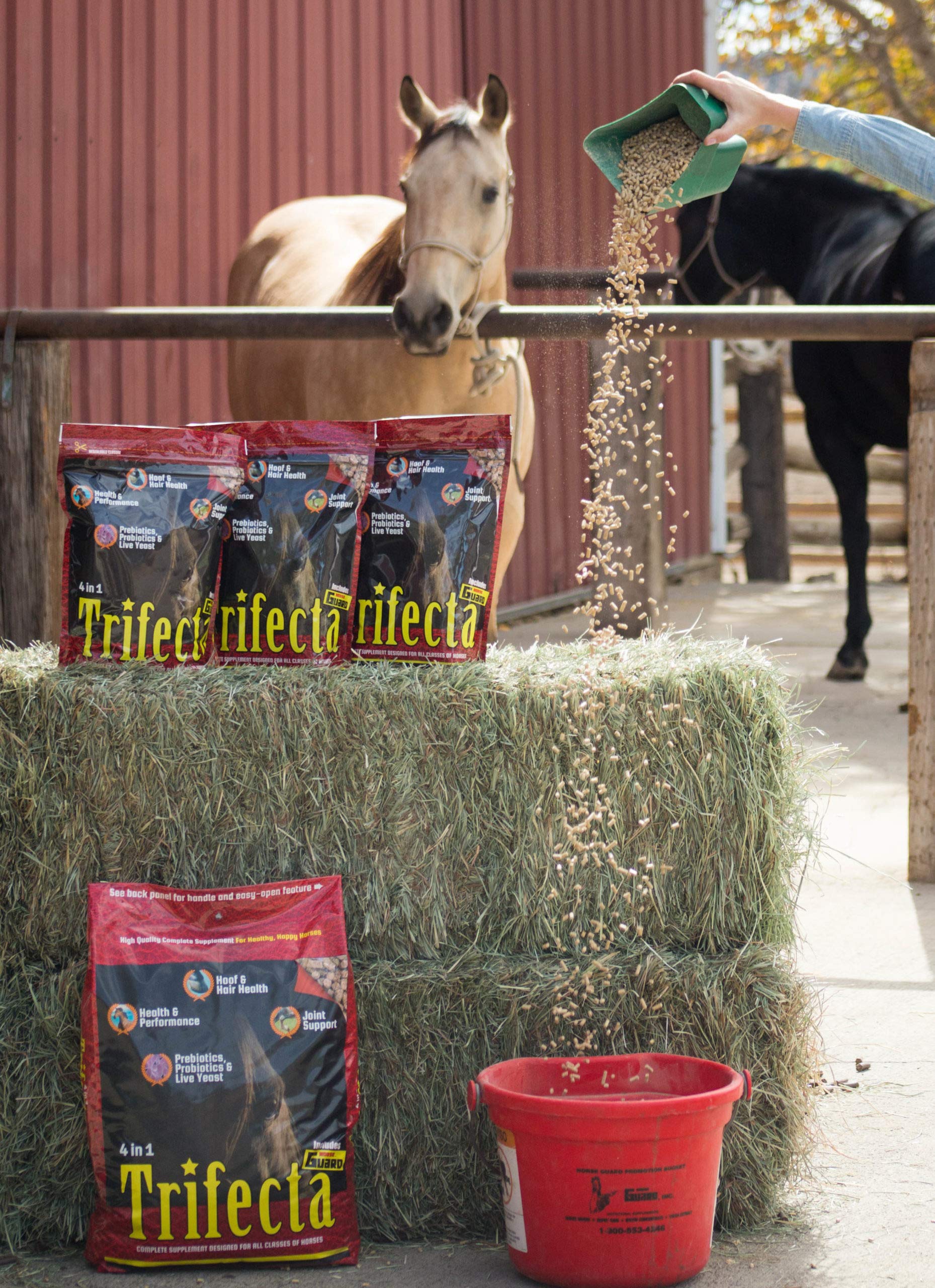 Horse Guard Trifecta Equine Vitamin Mineral Joint Hoof & Probiotic Supplement Buy Online in