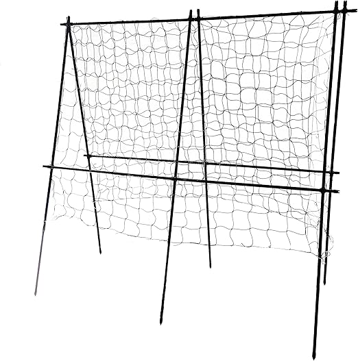 Juego de 4 unidades pepino rejilla como pérgola para granos de ...