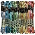 Magical Color Variations Floss Pack Six Strand Embroidery Variegated Cross Stitch Threads, Multi Color Set B, Pack of 18 Skeins