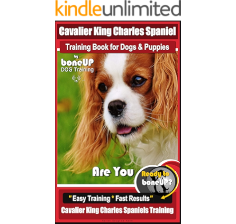 Cavalier King Charles Spaniel Cavalier King Charles Spaniel