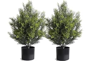 MOMOPLANT Cedar Artificial Bush,Faux Shrub,Topiary Artificial Cypress Tree,Includes Black Plastic Pot,2 Packs Fake Trees,Home Decor for Indoor and Outdoor,Faux Plants Outdoor,Artificial Greenery Set,24inch