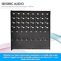 Seismic Audio SACB-32x8x100 32-Channel XLR Low
