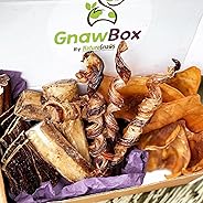 Gnaw Box – Nature Gnaws 100% Natural Dog Chew Subscription Box: Large & Medium Dog Breeds