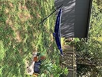 Review Image by Marson Popalardo Marson Popalardo