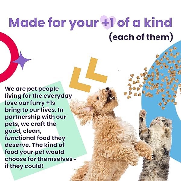 I AND LOVE AND YOU NAKED ESSENTIALS DRY CAT FOOD – CHICKEN + DUCK – GRAIN FREE, REAL MEAT, NO FILLERS, PREBIOTICS + PROBIOTICS, 3.4LB BAG