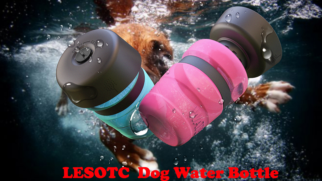 6 lesotc+Foldable+Dispenser+Lightweight+Convenient
