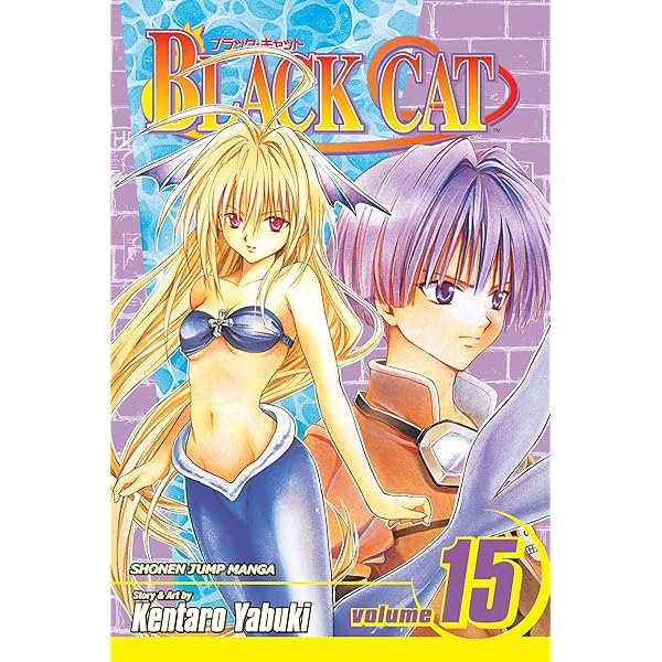 Black Cat, Vol. 16: Yabuki, Kentaro, Yabuki, Kentaro