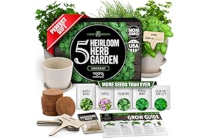 HOME GROWN Indoor Herb Garden Starter Kit – Complete 5 Herb Grow Kit with Basil, Cilantro, Mint, Parsley & Thyme – for Gardeners, Unique Christmas Gardening Gift for Mom, Women & Men
