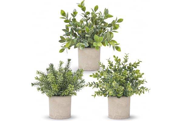 Der Rose 3 Pack Mini Potted Fake Plants Artificial Plastic Eucalyptus Plants for Home Office Desk Farmhouse Room Decor Indoor