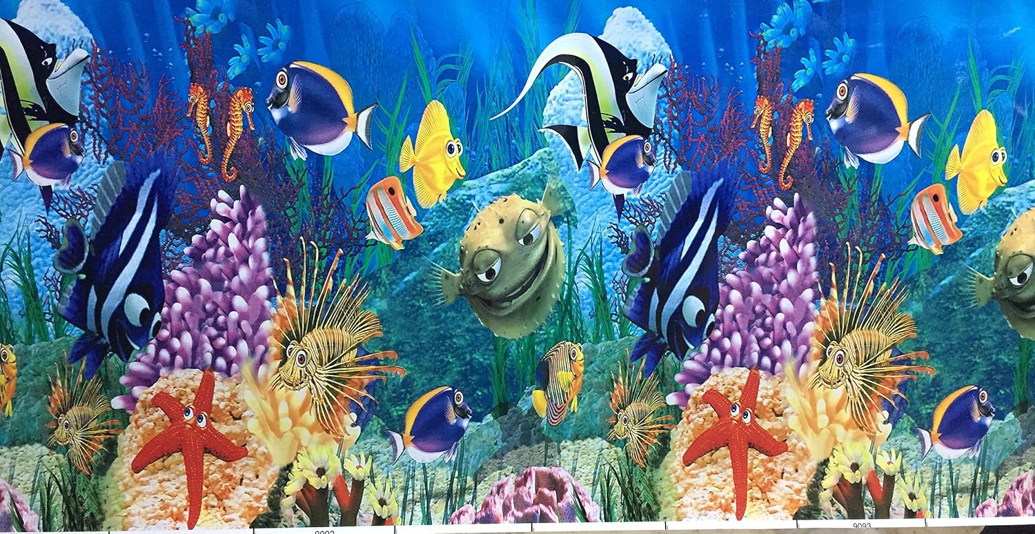 shalimar fish aquarium & pet shop