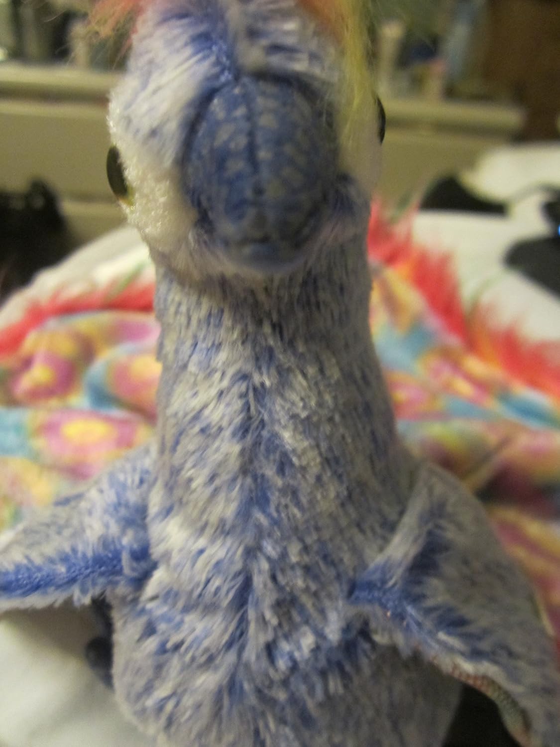 peacock beanie baby