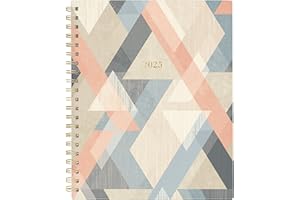 Cambridge 2025 Planner, Weekly & Monthly, 8-1/2" x 11", Large, Triad (1728-905-25)