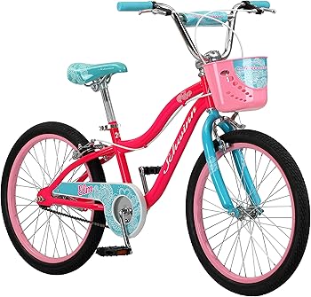 Schwinn Elm Girls 20 Inch Bikes