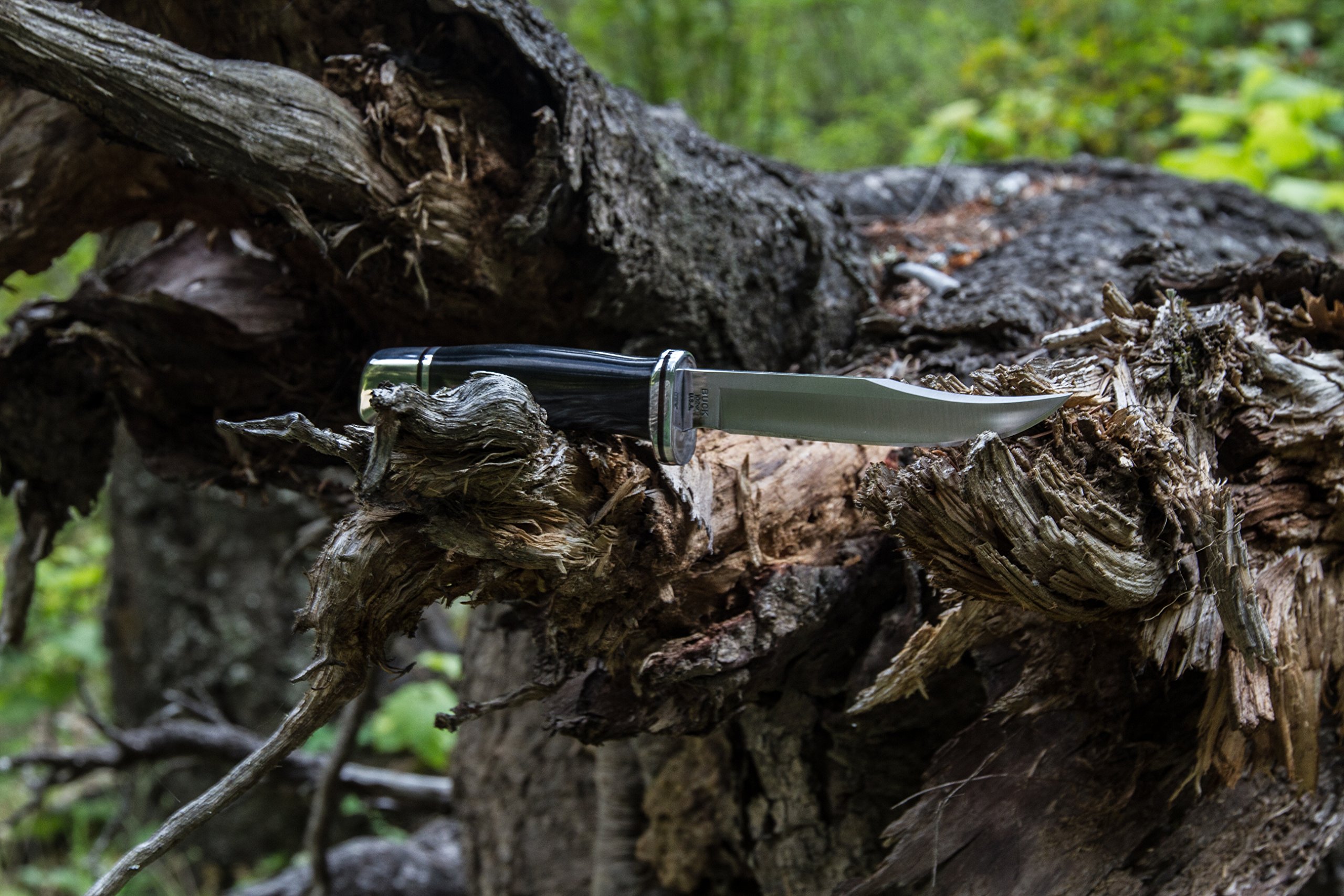 Buck Knives 102 Woodsman Fixed Blade Knife eBay