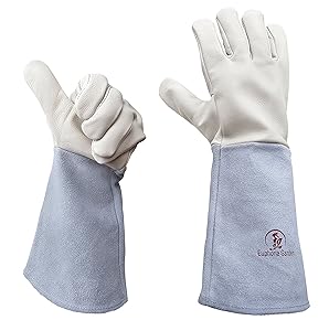 Rose Gardening Gloves by Euphoria - Cowhide Leather Garden Gauntlet Gloves - Puncture Resistant Work Gloves for Men and Women in M, L (Runs Large) - Best for Pruning Blackberries and Thorny Bushes