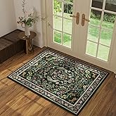 Entryway Rug 2x3 Rug Door Mat Indoor Entrance Washable Rug Small Non-Slip Low Pile Throw Rugs for Entryway, Kitchen, Front Door Indoor Entrance, Entry (Emerald Green)