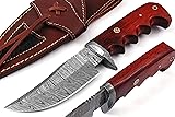 Baig 921 Damascus Fixes Blade Knife Custom Handmade