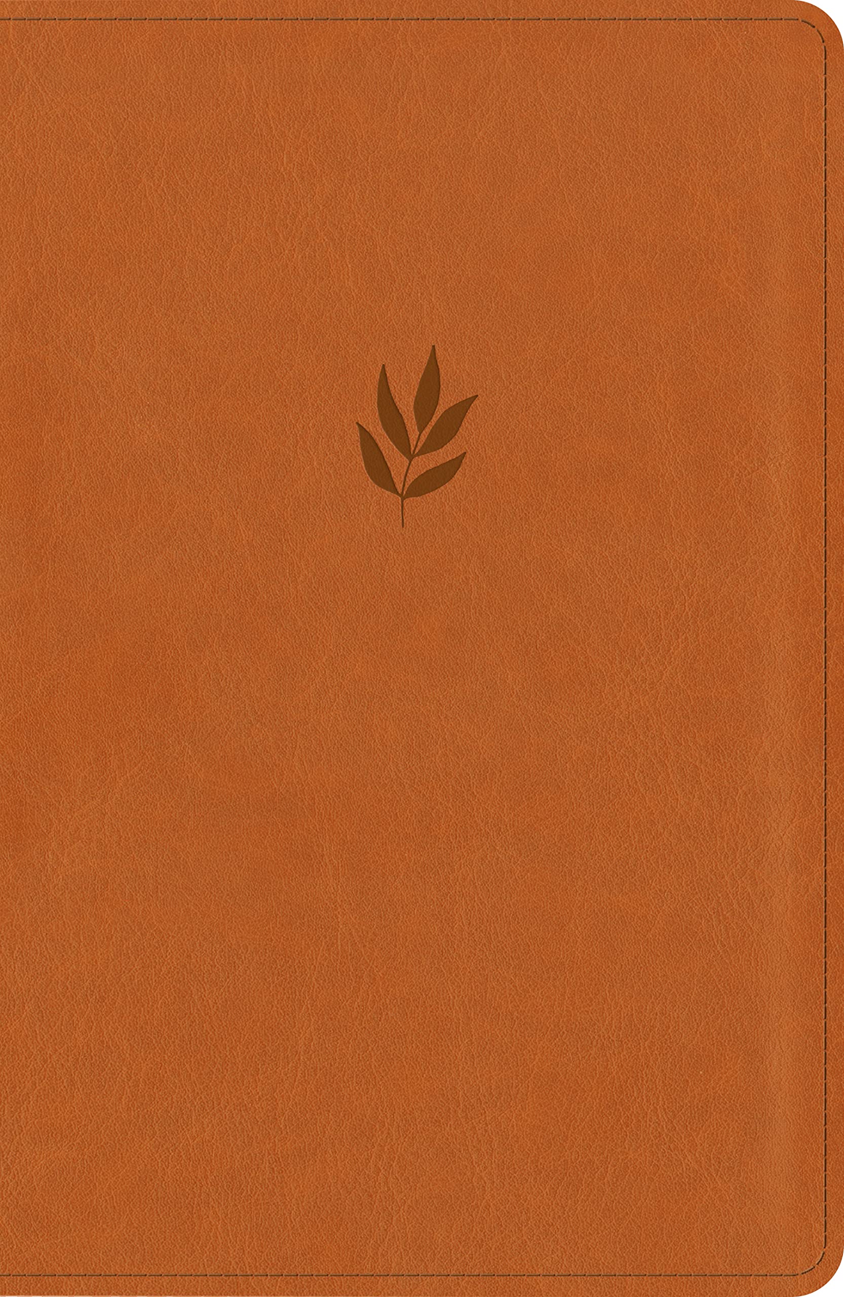 NLT Personal Size Giant Print Bible, Filament-Enabled Edition (LeatherLike, Classic Tan, Red Letter): DaySpring Signature Collection