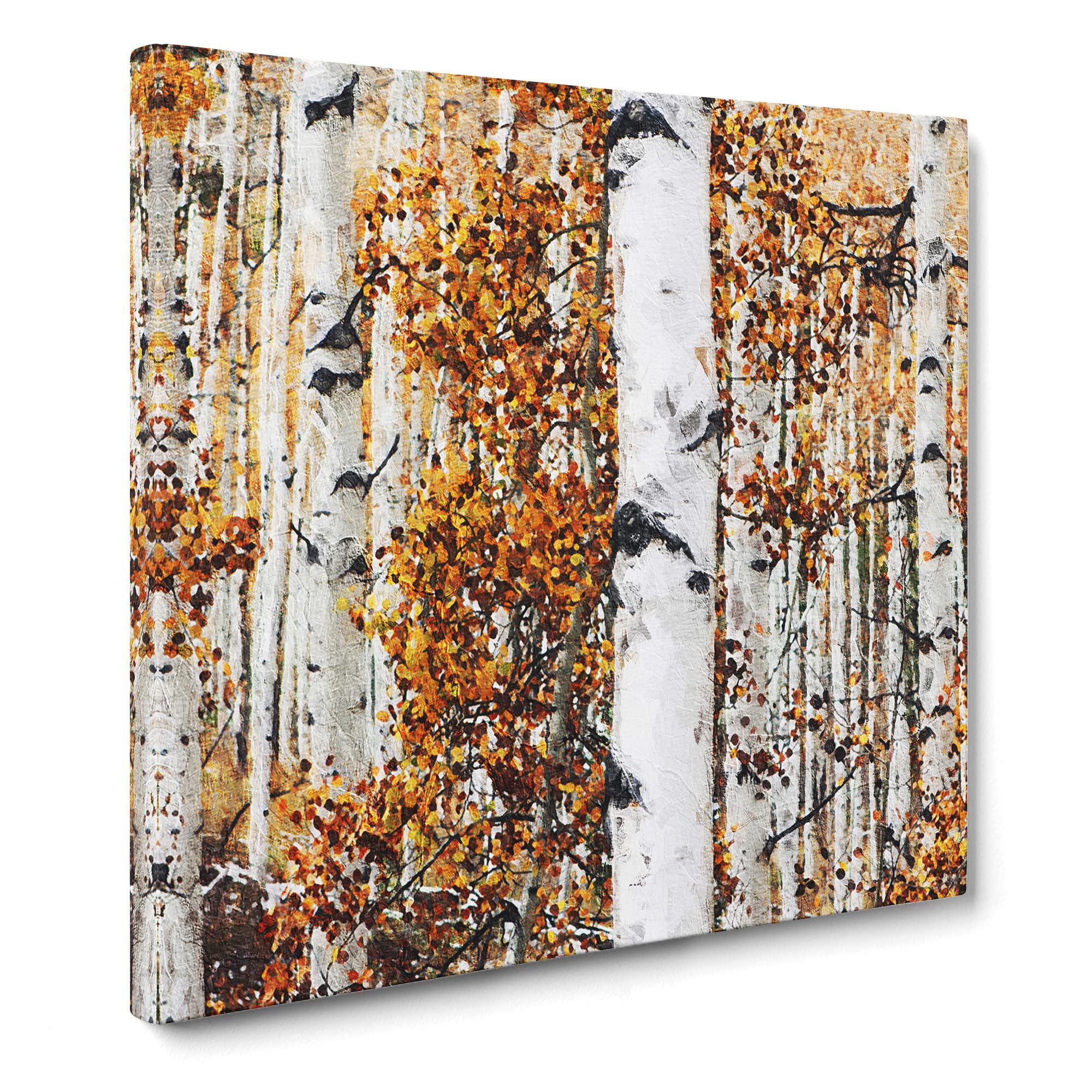 Birch Trees in Autumn Canvas Print | Gallery Wrapped 30mm Frame Wall Art | 14x14 inches | Ready to Hang | Modern Landscape Picture | Living Room Bedroom Lounge Office