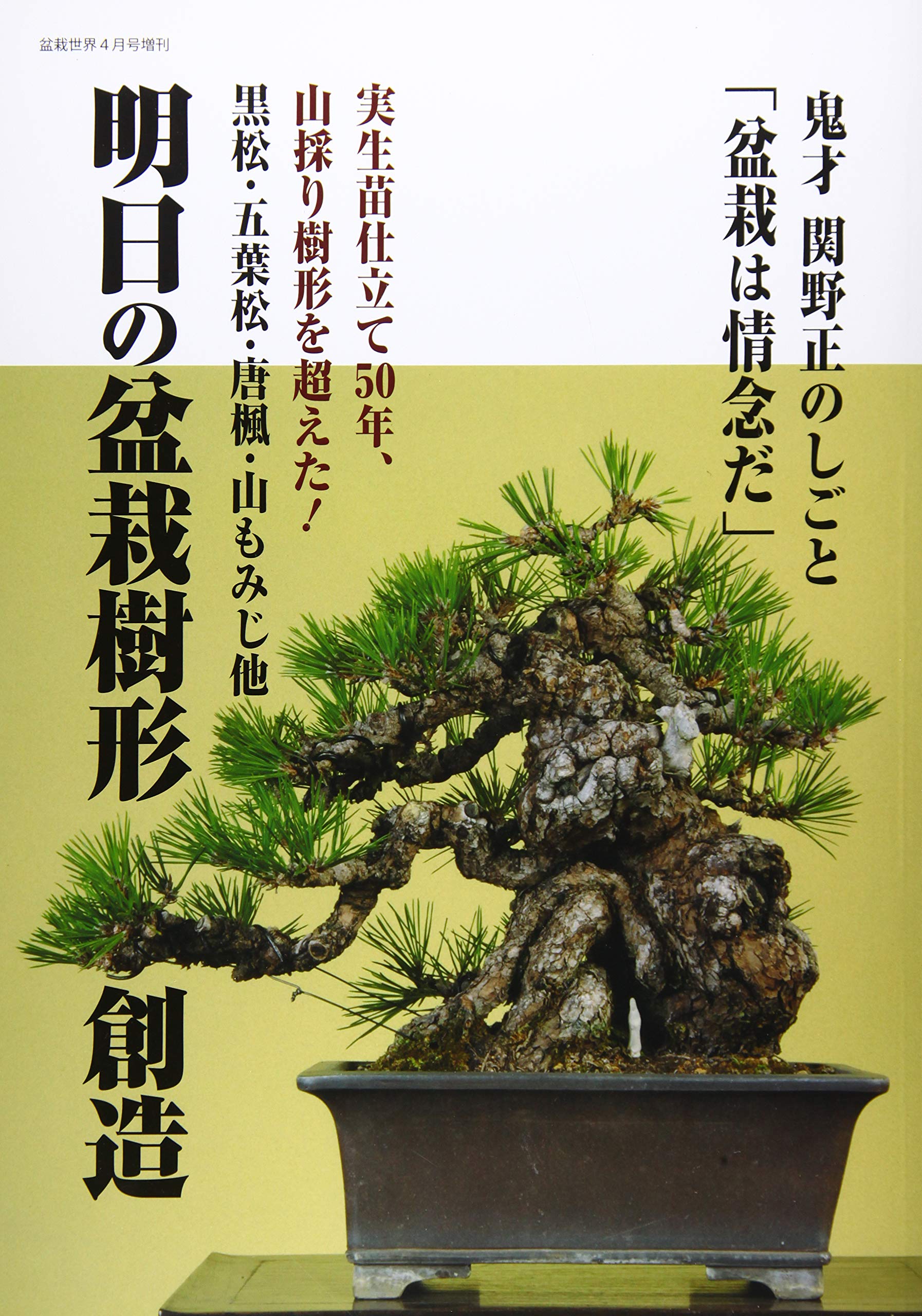 Amazon Co Jp 明日の盆栽樹形創造 21年 04 月号 雑誌 明日の盆栽樹形創造 増刊 本
