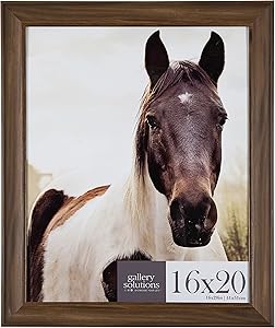 Gallery Solutions 16x20 Large Wall Hanging Picture Poster Frame, 16" x 20", Walnut